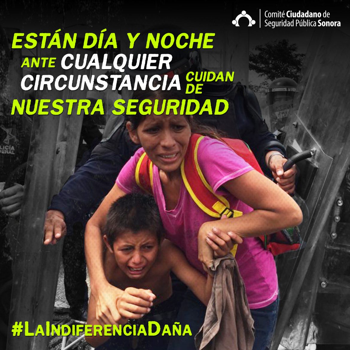 Laindiferenciada A Ccsp Sonora