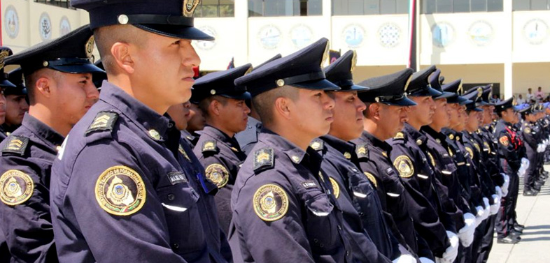 Diagnóstico Nacional sobre las Policías Preventivas de las Entidades Federativas (SEGOB/SESNSP)