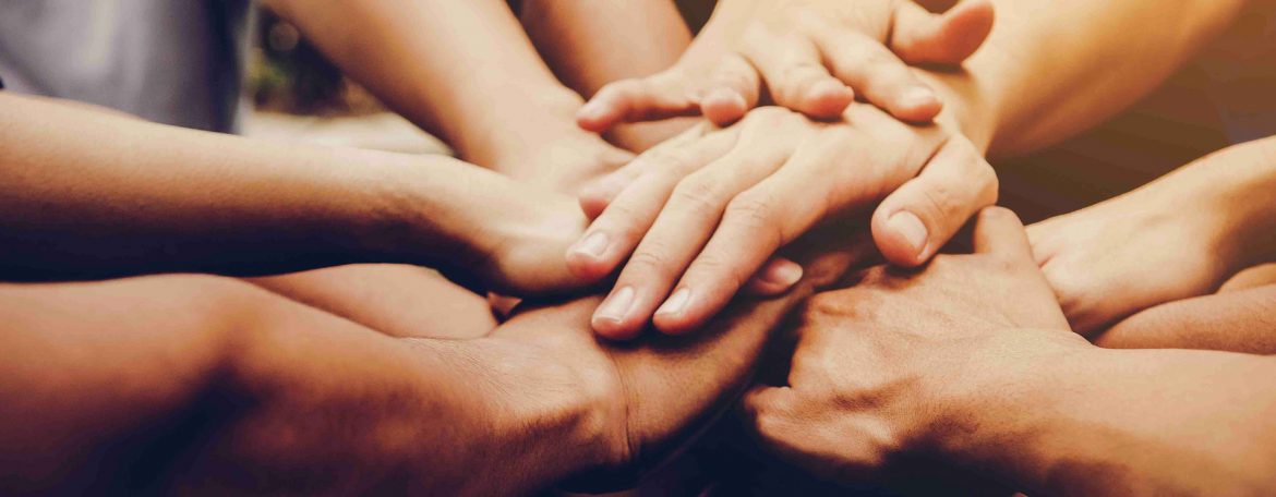 Lazos Ciudadanos con la Seguridad A.C.