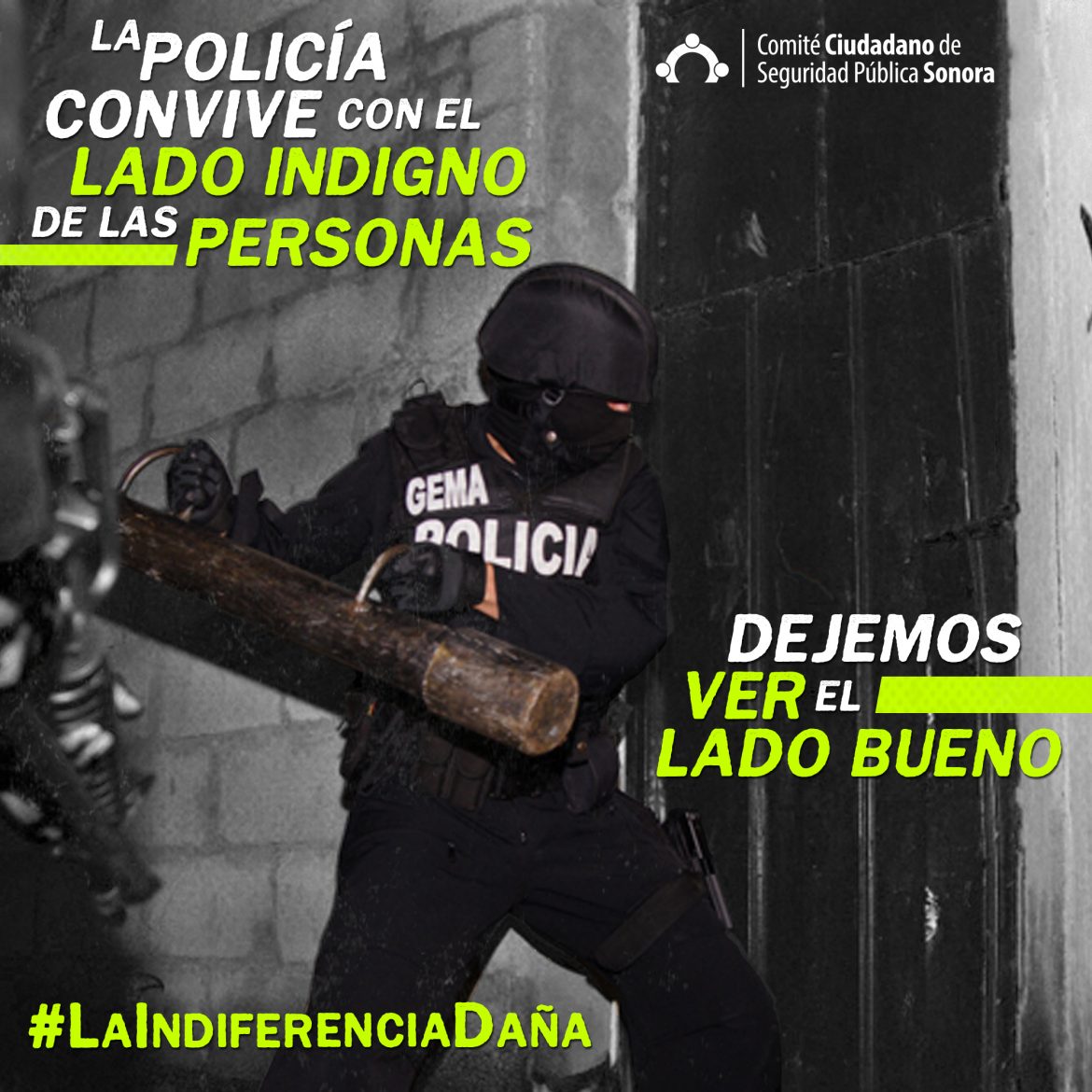 #LaIndiferenciaDaña 2019