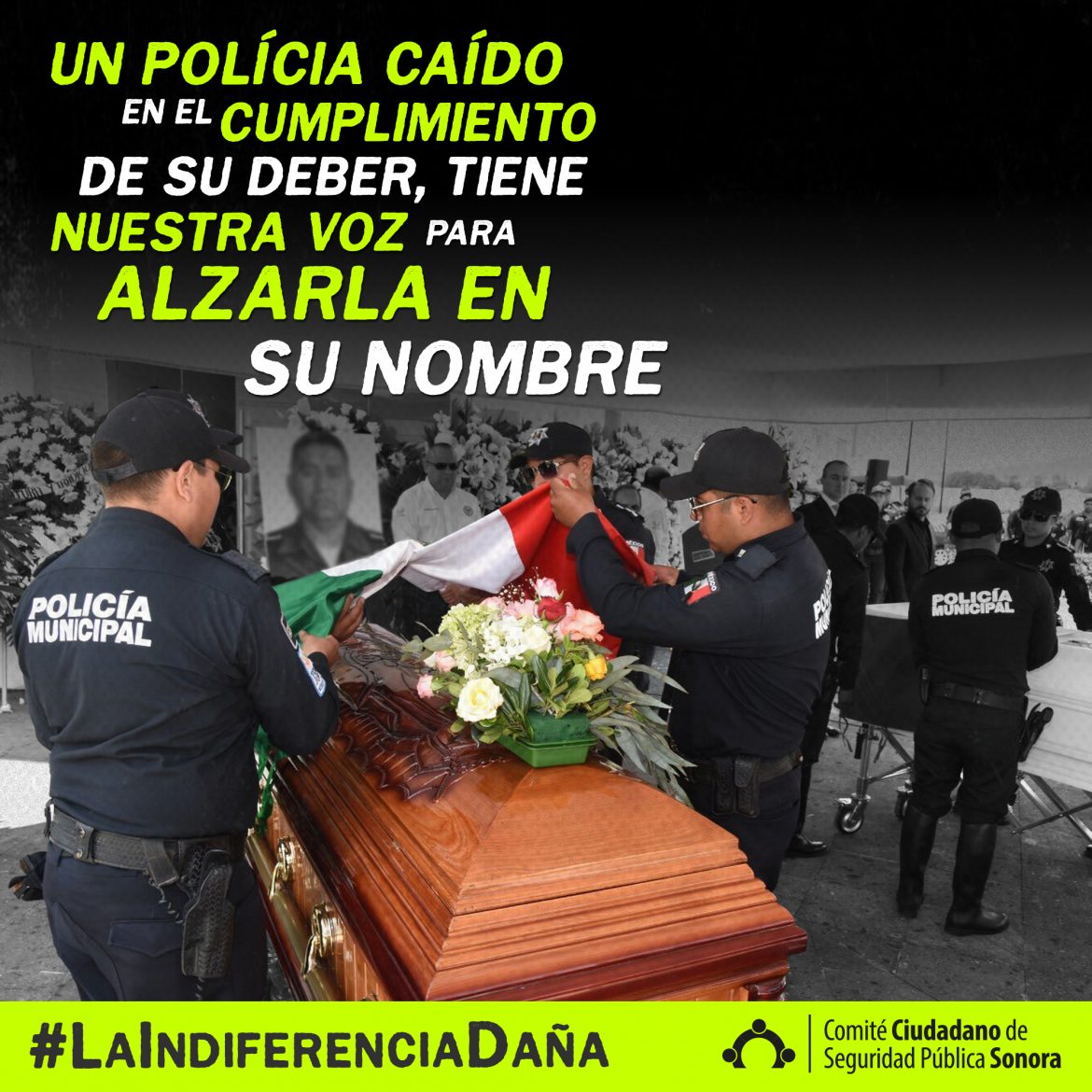 #LaIndiferenciaDaña 2019