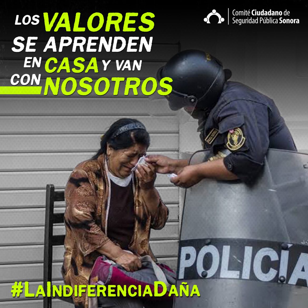#LaIndiferenciaDaña 2019