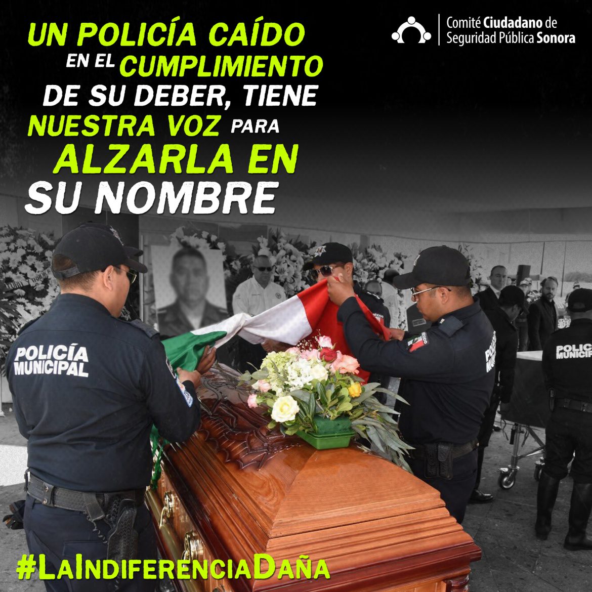 #LaIndiferenciaDaña 2019