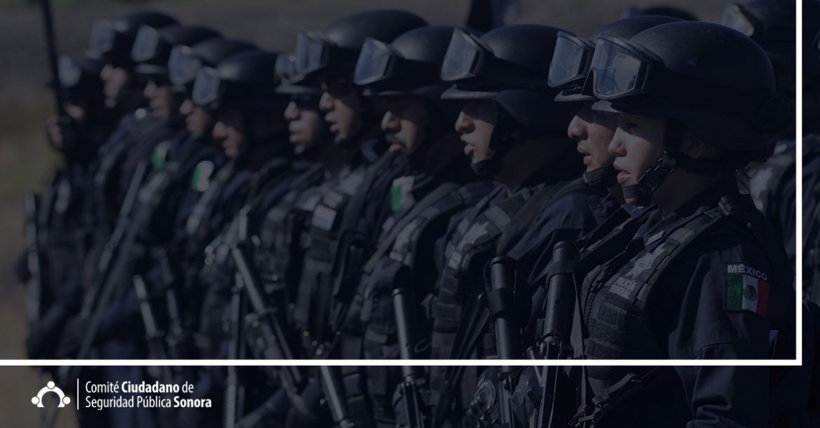 Encuesta Nacional de Seguridad Pública Urbana (ENSU)