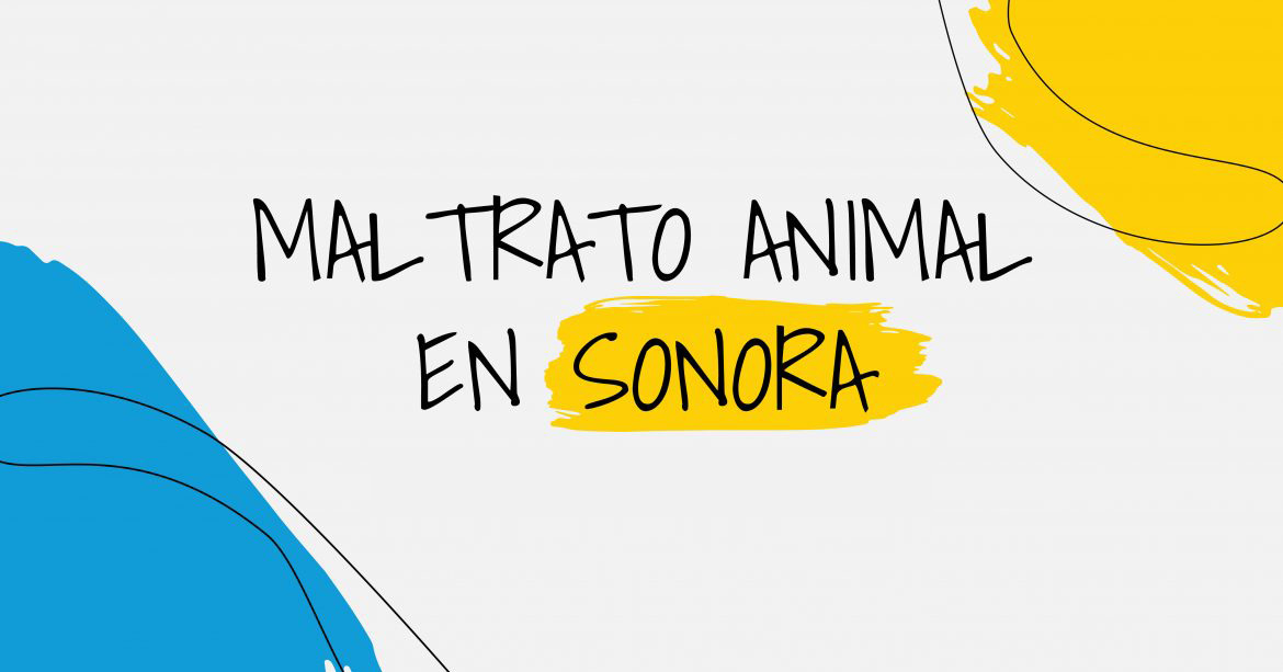 Maltrato animal en Sonora